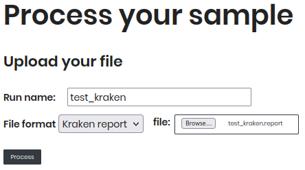 Process Your Sample