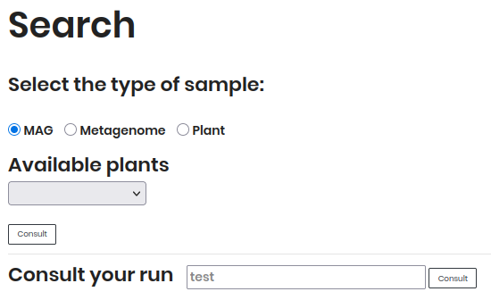Search Section